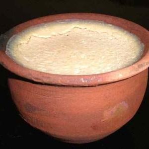 Yogurt দই